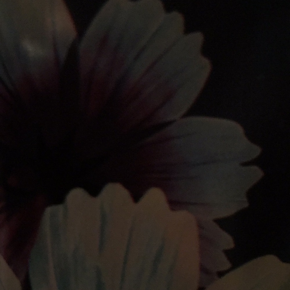 Meet your Posher, Carlina